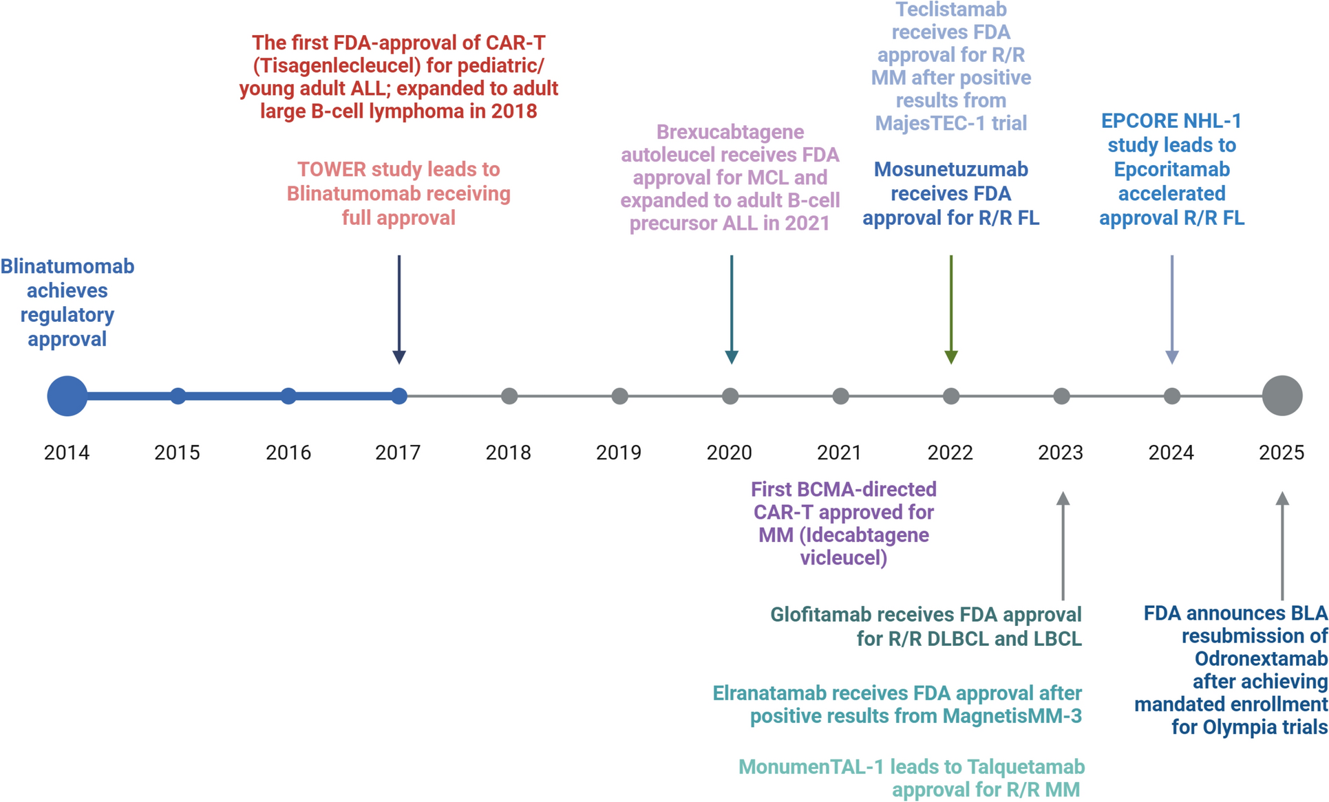 Bispecific Antibodies in Hematologic Malignancies: Attacking the Frontline