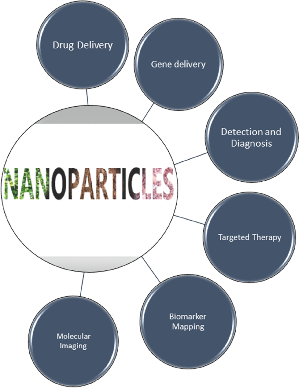 Toxicology of Nanoparticles in Drug Delivery