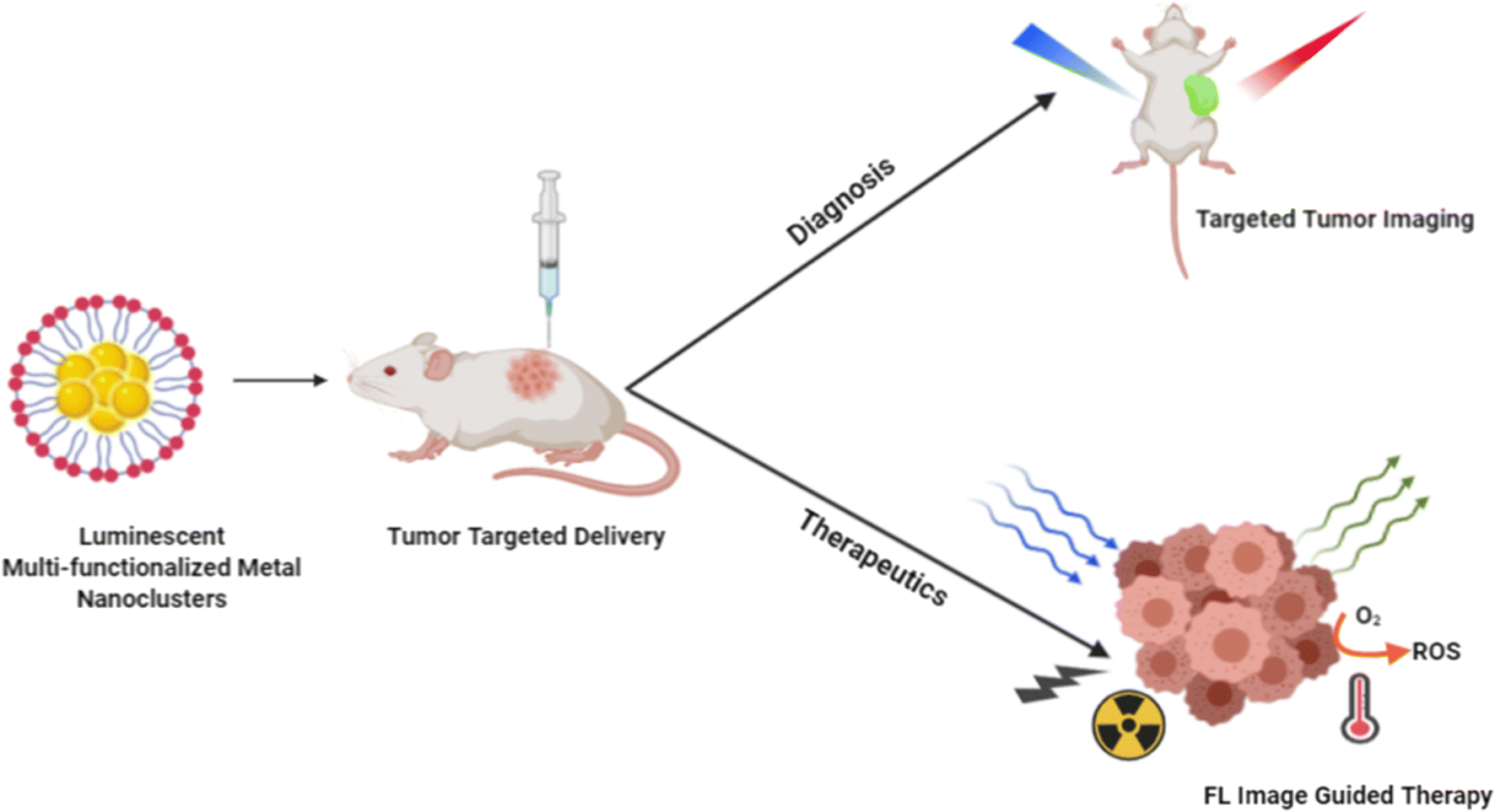 The Role of Gold Nanoclusters as Emerging Theranostic Agents for Cancer Management