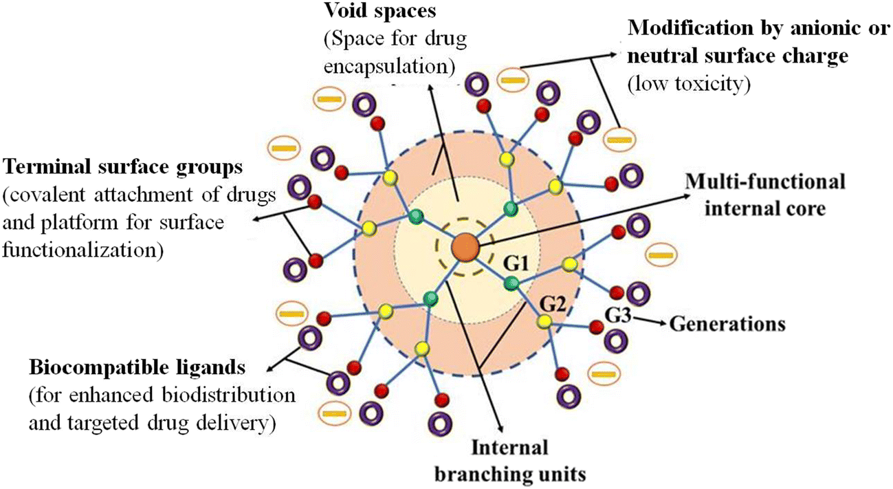 Understanding Physico-chemical Interactions of Dendrimers with Guest Molecules for Efficient Drug and Gene Delivery