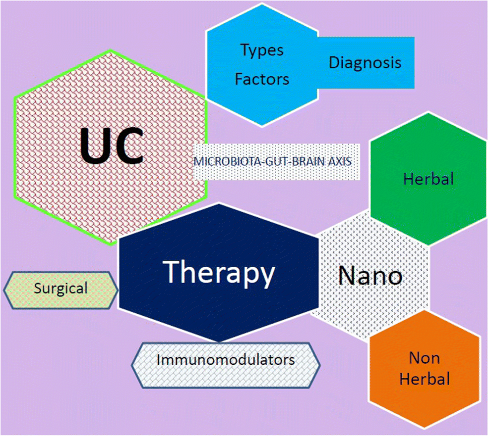 Apprehending Ulcerative Colitis Management With Springing Up Therapeutic Approaches: Can Nanotechnology Play a Nascent Role?