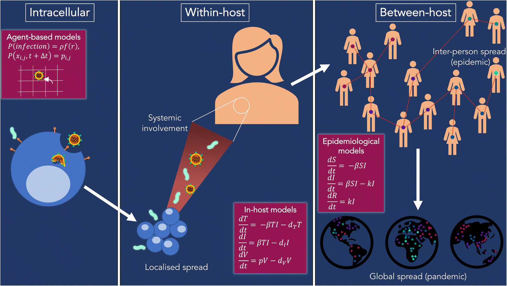 Leveraging Computational Modeling to Understand Infectious Diseases