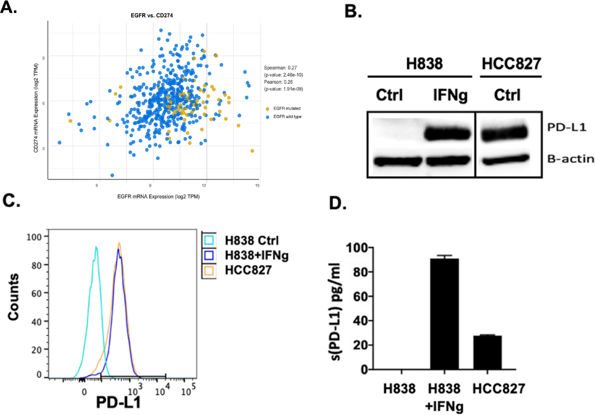 The impact of aspirin on PD-L1 expression and alteration of M2 polarization in non-small cell lung cancer