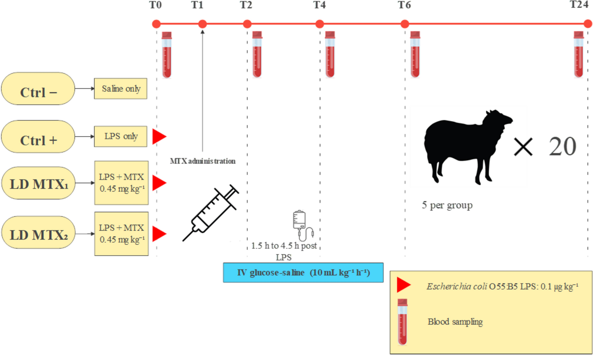 Targeting the cytokine–redox axis: dose-dependent immunomodulation by methotrexate in a biomarker-guided ovine endotoxaemia model