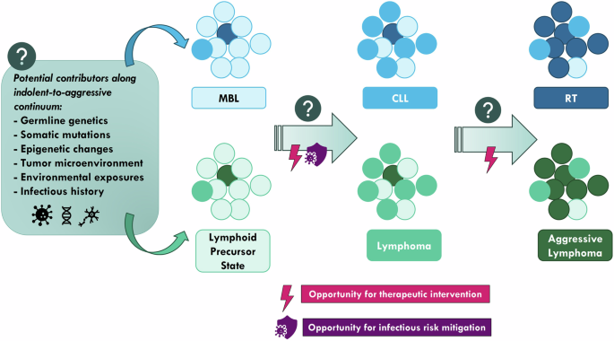State of the art biology, progression, and clinical management of monoclonal B-cell lymphocytosis (MBL): consensus report from the Intercepting Blood Cancers Workshop Committee