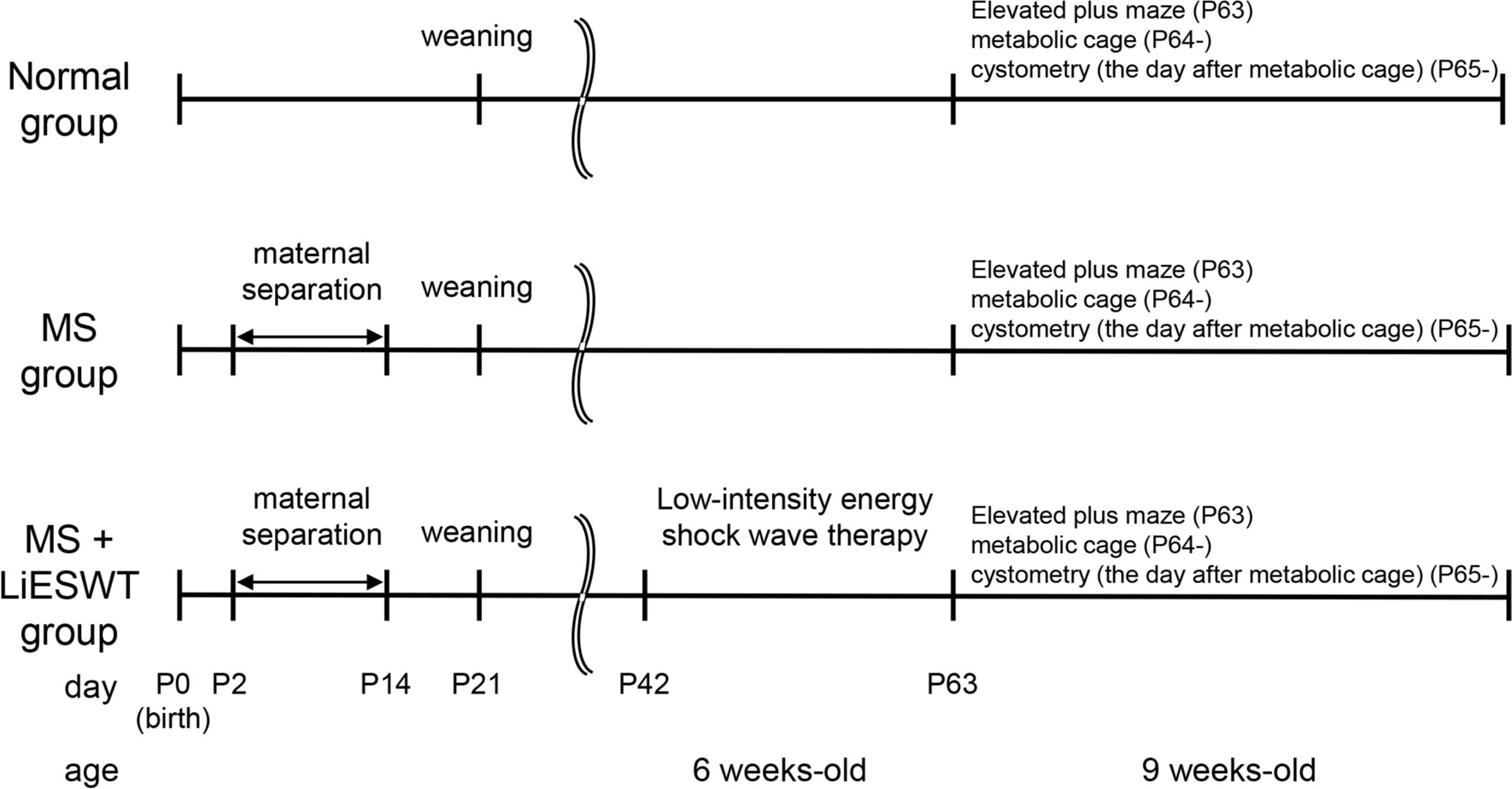 Low-intensity energy shock wave therapy modulates bladder function and anxiety-like behavior in maternal separation rats