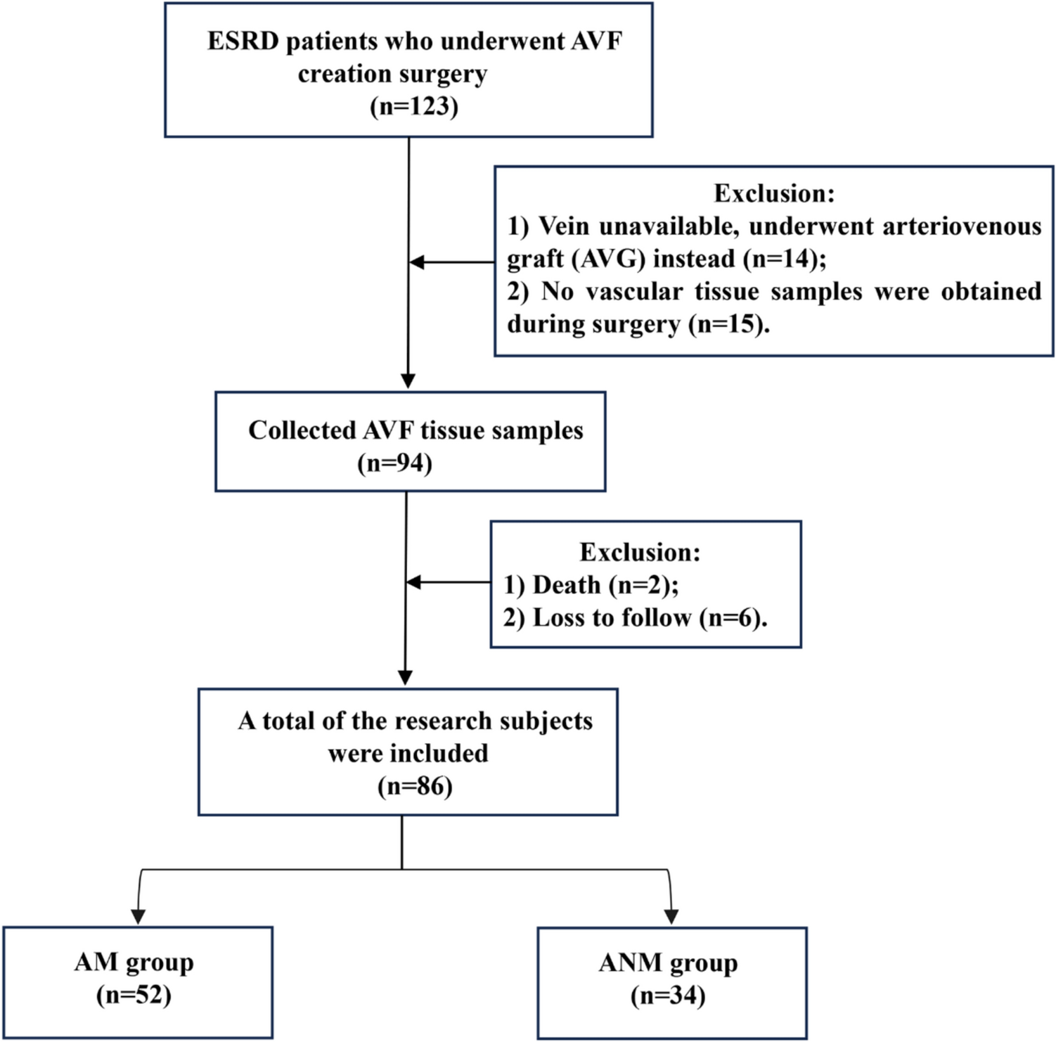 Data-independent acquisition–mass spectrometry proteomic analysis reveals fibrinogen α, β, and γ chains as candidate biomarkers for the nonmaturation of autogenous arteriovenous fistula