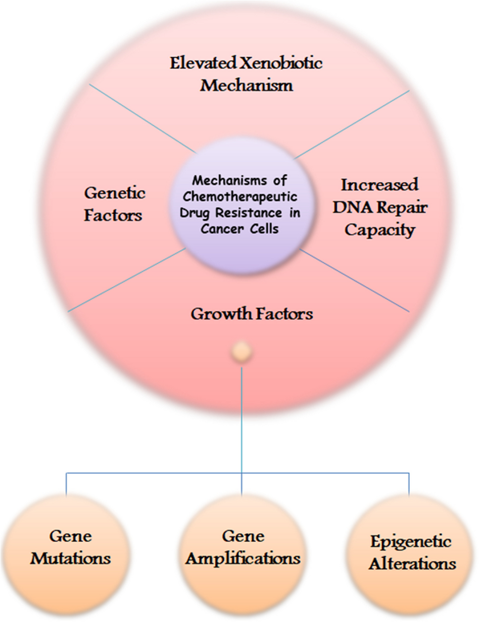 Advanced strategies to overcome multidrug resistance in cancer therapy: progress in P-glycoprotein inhibitors, drug delivery, and personalized medicine