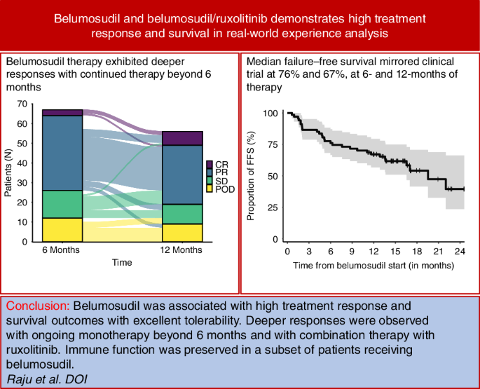 Real-world experience of belumosudil and belumosudil/ruxolitinib combination in steroid-refractory chronic graft-versus-host disease