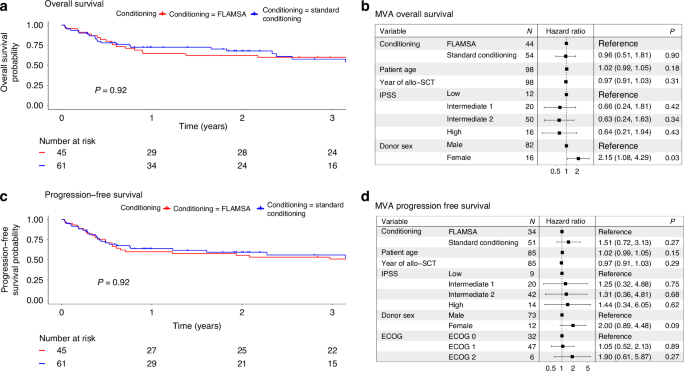 Sequential versus standard conditioning in untreated MDS patients with blasts undergoing allogeneic HSCT