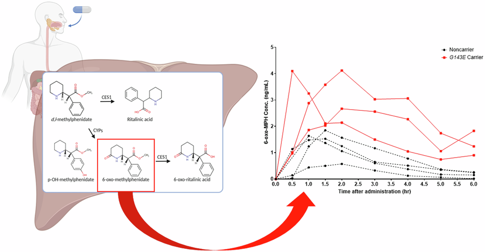 Increased plasma concentrations of 6-oxo-methylphenidate in  carriers following a single oral dose of methylphenidate