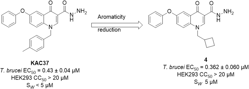 Synthesis and in vitro anti-trypanosomal evaluation of quinolone hydrazide analogues