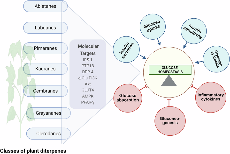 Exploring antidiabetic potential of plant diterpenes: from mechanisms to clinical insights