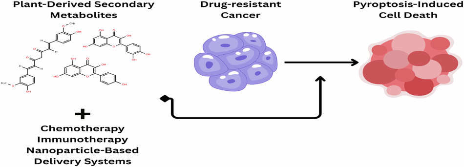 Plant-derived pyroptosis inducers as a therapeutic strategy in drug-resistant cancers