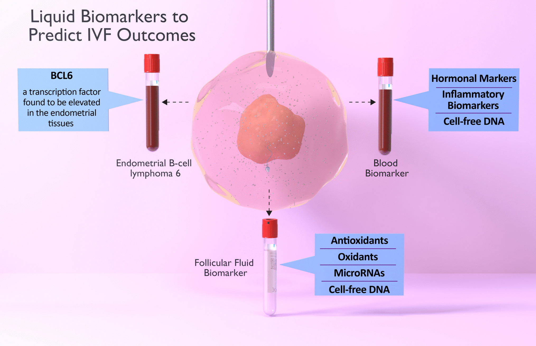 Non-invasive biomarkers in assisted reproduction: a comprehensive review for predicting IVF success