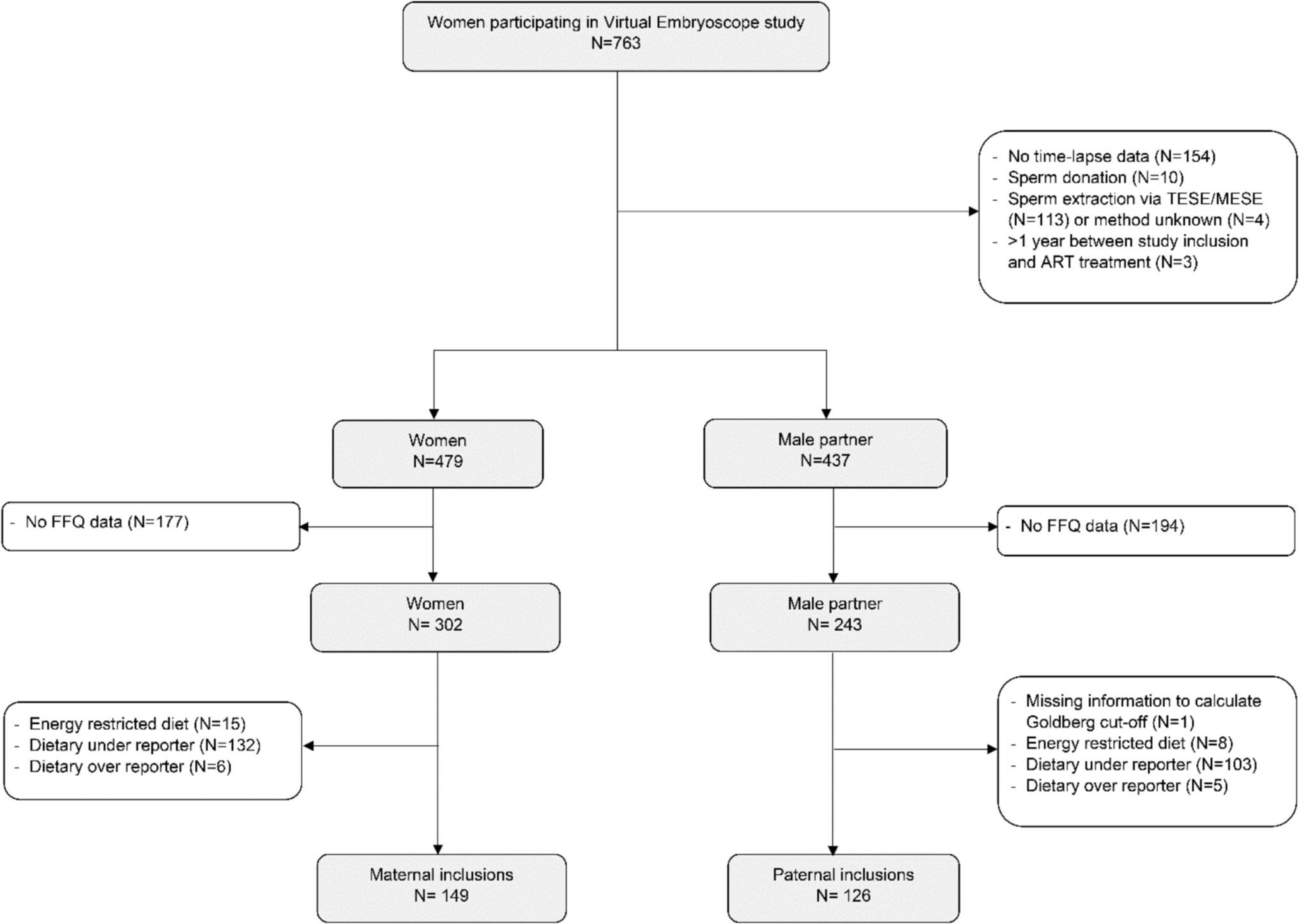 Parental dietary patterns and assisted reproductive technology outcomes including embryo morphokinetics: rotterdam periconception cohort