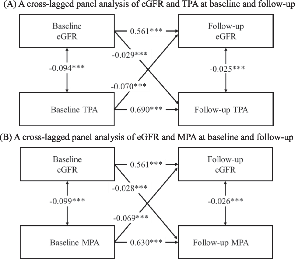 Bidirectional associations between kidney function decline and carotid plaque progression: a longitudinal cohort study in the context of predictive, preventive, and personalised medicine