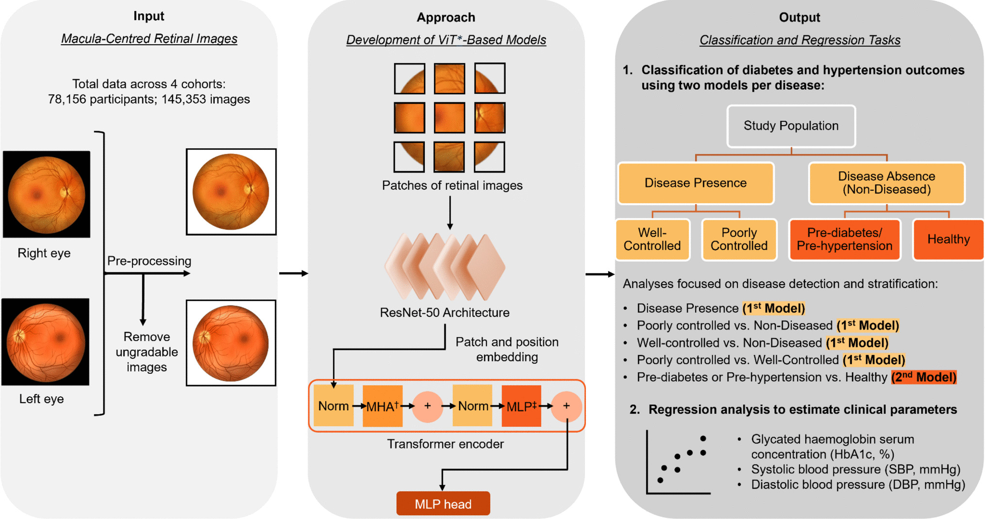Vision transformer-based stratification of pre/diabetic and pre/hypertensive patients from retinal photographs for 3PM applications