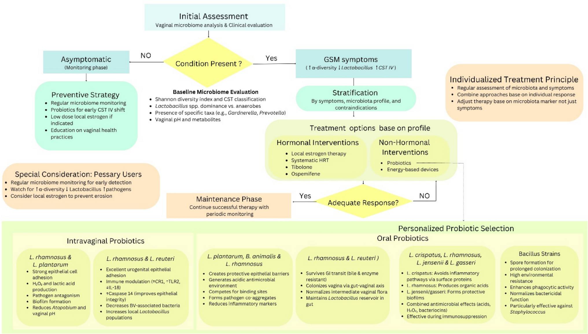 Beyond hormones: 3PM approach to vaginal microbiota dynamics in postmenopausal women
