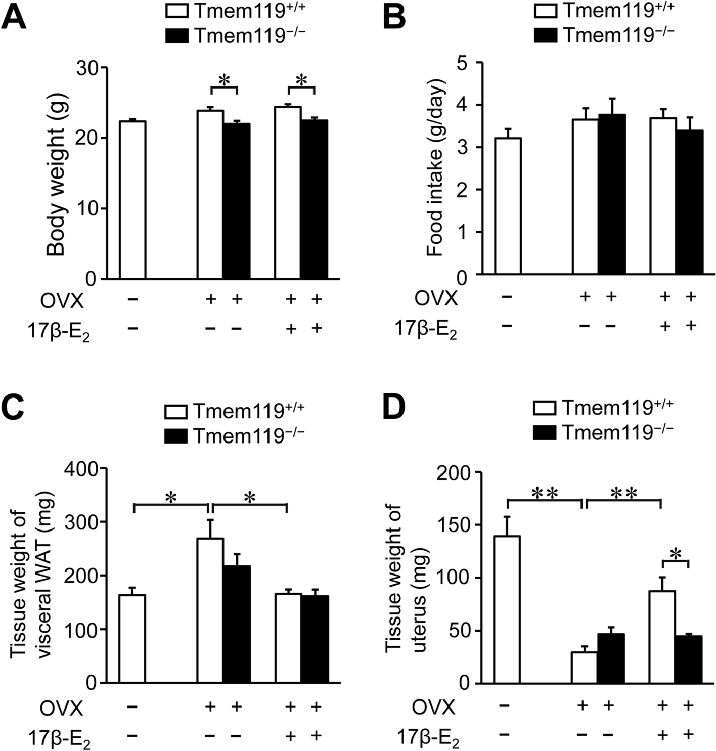 The role of Tmem119 in the estrogen action on bone in mice