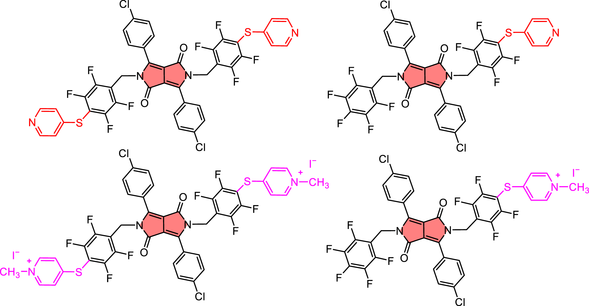 New cationic diketopyrrolopyrrole photosensitizers for the photoinactivation of gram-negative and gram-positive bacteria