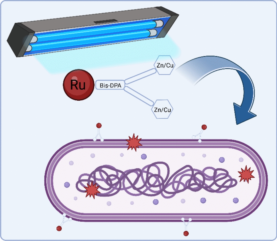 Novel ruthenium(II) polypyridyl complexes conjugated with bis-dipicolylamine as antibacterial photosensitisers