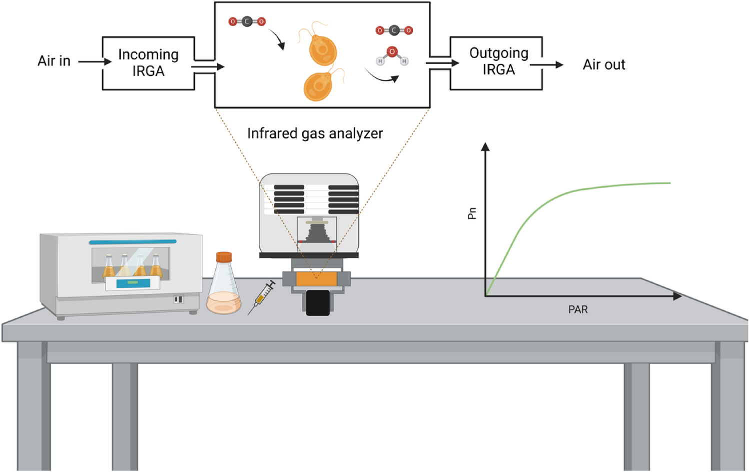 Infrared gas analyzer as a cutting-edge tool for studying photosynthesis in marine microalgae: a case study on