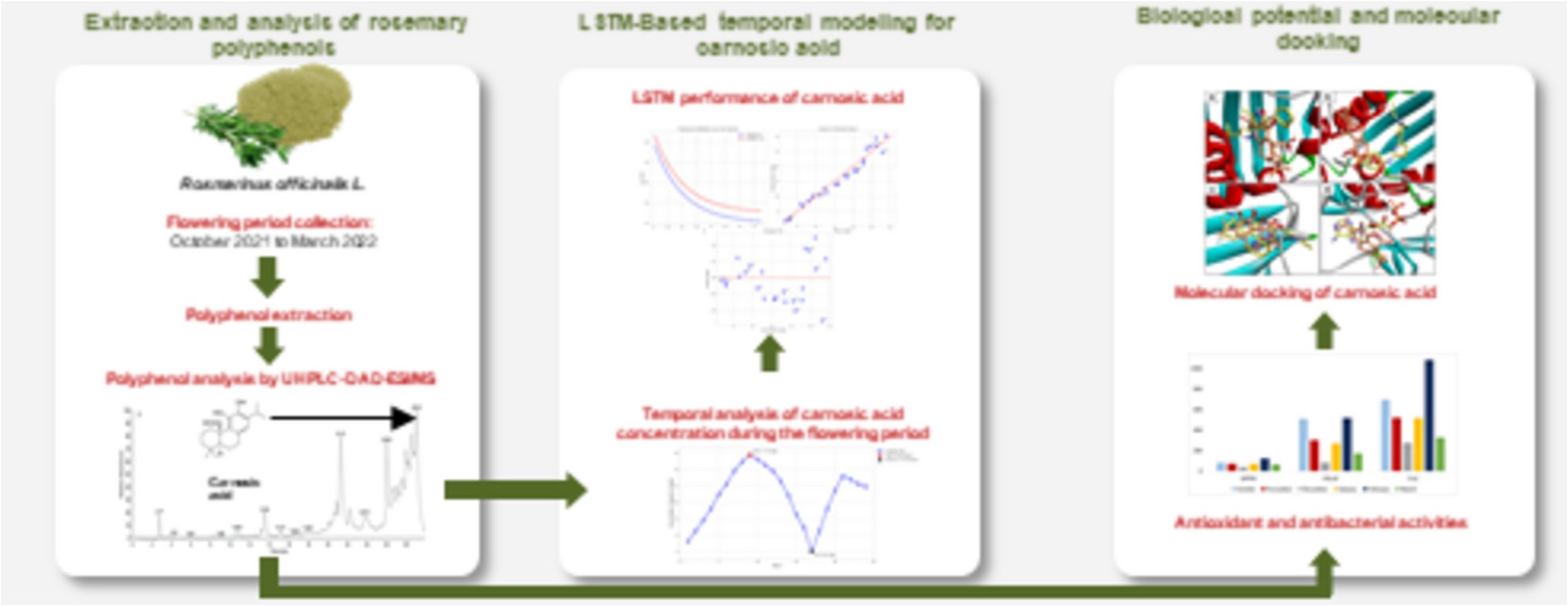 Long Short-Term Memory-Based Temporal Modeling for Carnosic Acid Peak Prediction in : A Deep Learning Approach, Biological Potential, and Molecular Docking