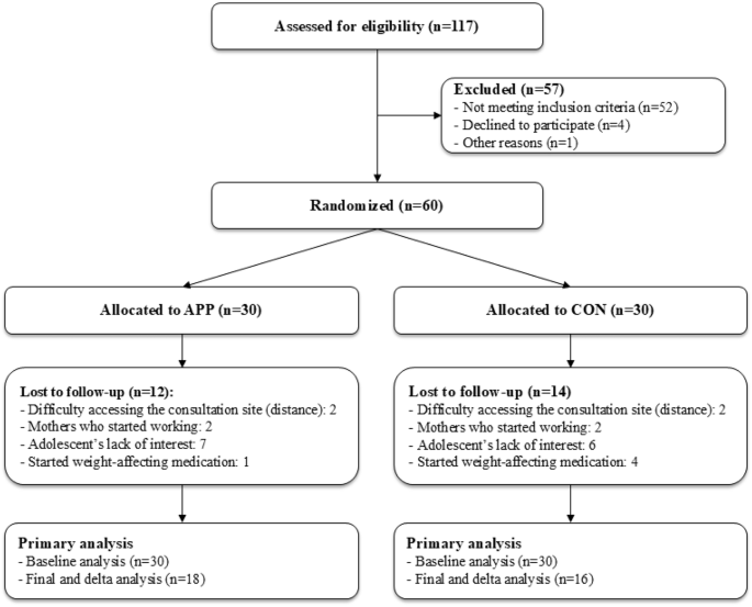 Effect of a mobile phone application for dietary self-monitoring on obesity in adolescents: a pilot randomized controlled trial