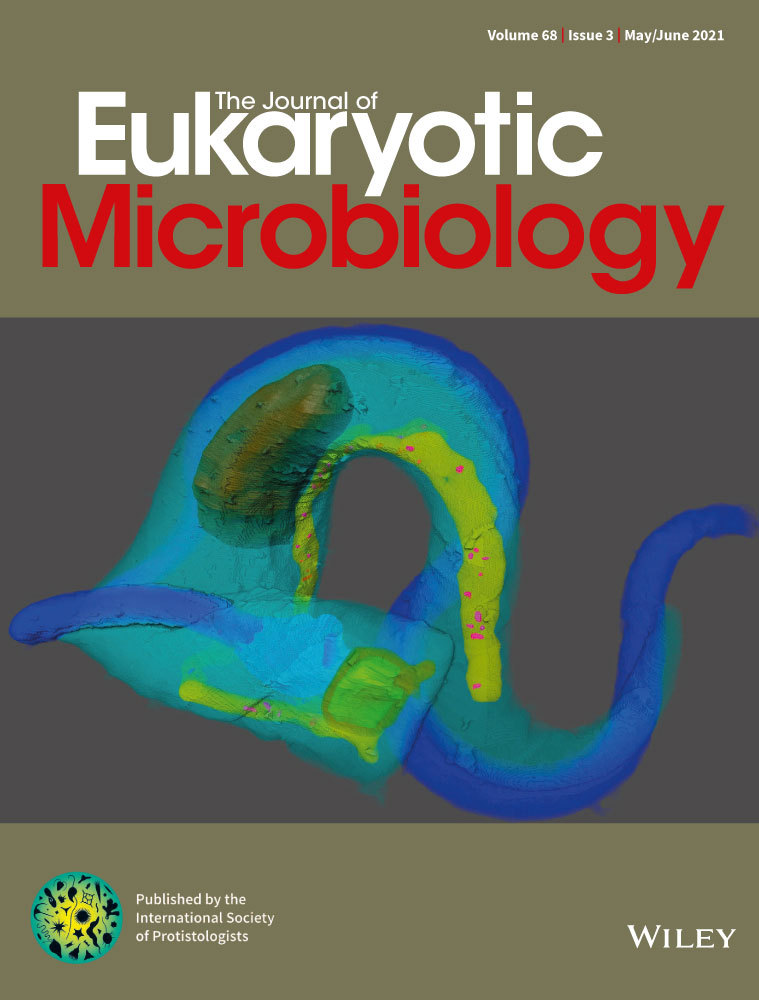 Reassessment of Suitable Markers for Taxonomy of Chaetophorales (Chlorophyceae, Chlorophyta) based on Chloroplast Genomes