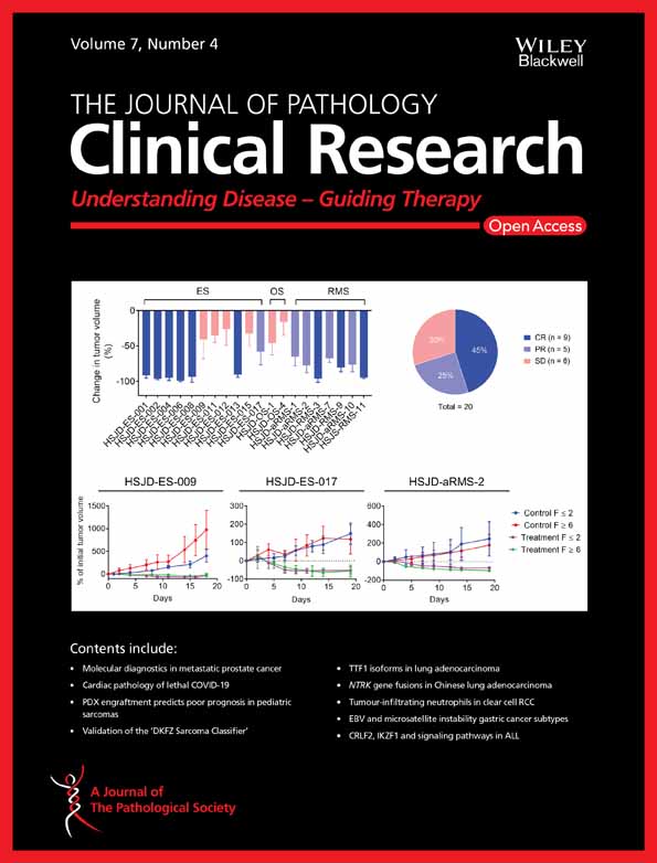 Integration of NRP1, RGS5, and FOXM1 expression, and tumour necrosis, as a postoperative prognostic classifier based on molecular subtypes of clear cell renal cell carcinoma