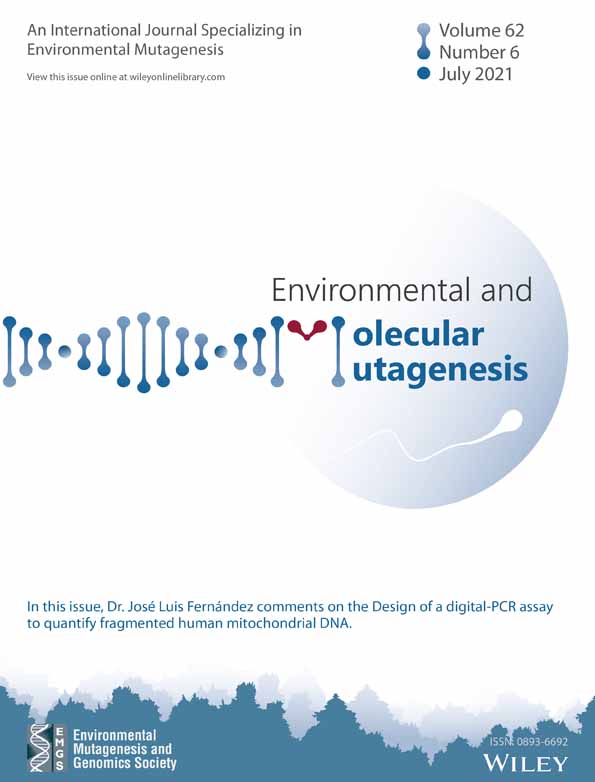 Global and gene‐specific promoter methylation, and micronuclei induction in lead‐exposed workers: A cross‐sectional study