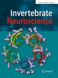 Fine structure of the central brain in the octopod Eledone cirrhosa (Lamarck, 1798) (Mollusca–Octopoda)