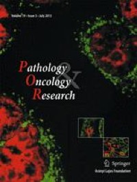 The Role of Immunohistochemical Overexpression of p53 as Adverse Prognostic Factor in Primary Testicular Diffuse Large B Cell Lymphoma