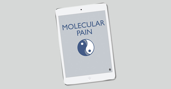 Ion channels and pain in Fabry disease