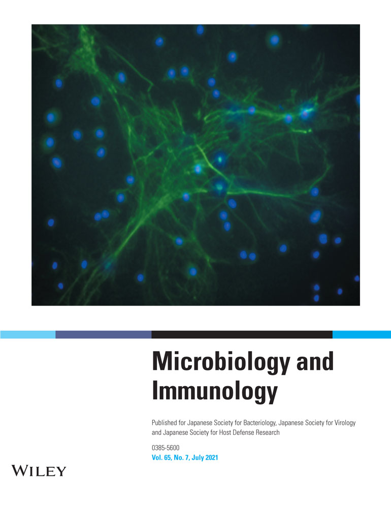 BUD23‐TRMT112 interacts with the L protein of Borna disease virus and mediates the chromosomal tethering of viral ribonucleoproteins