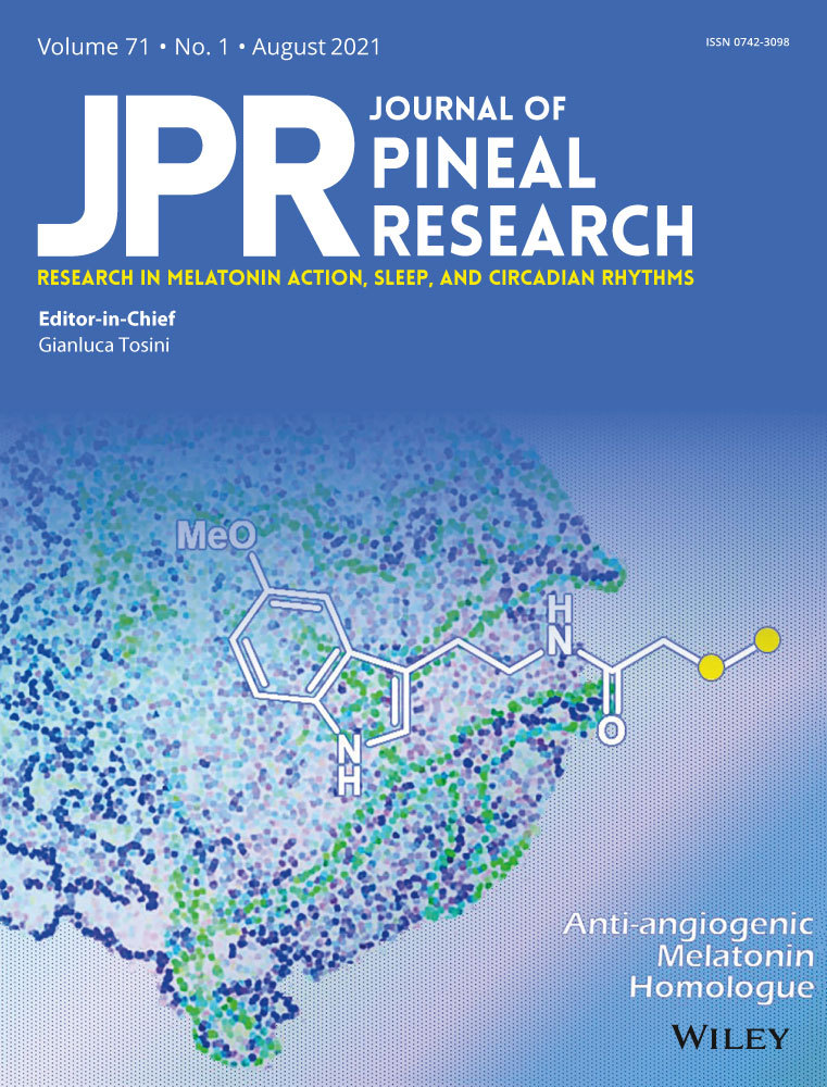 A novel melatonin‐regulated lncRNA suppresses TPA‐induced oral cancer cell motility through replenishing PRUNE2 expression