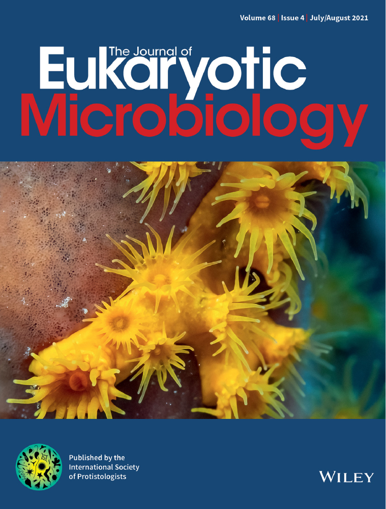 Superficially described and ignored for 92 years, rediscovered and emended: Apodera angatakere (Amoebozoa : Arcellinida : Hyalospheniformes) is a new flagship testate amoeba taxon from Aotearoa (New Zealand)