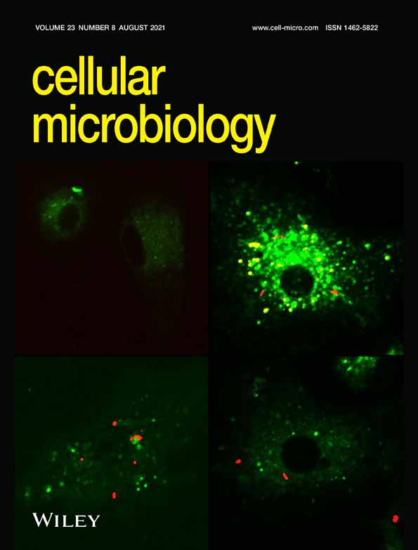 Mucosal immune responses in the trachea after chronic infection with Mycoplasma gallisepticum in unvaccinated and vaccinated mature chickens