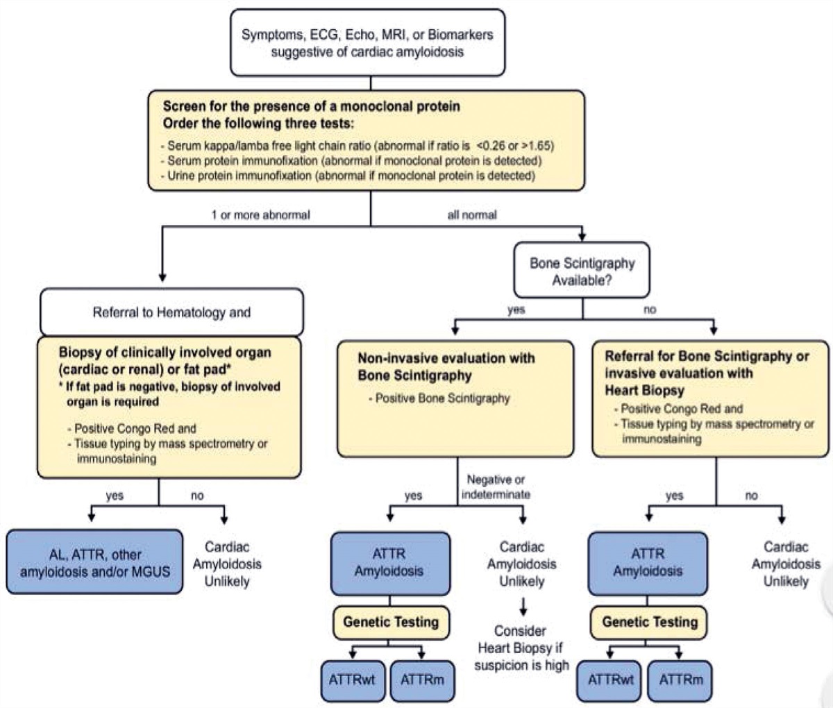 Transthyretin Cardiac Amyloidosis and Novel Therapies to Treat This Not-so-rare Cause of Cardiomyopathy