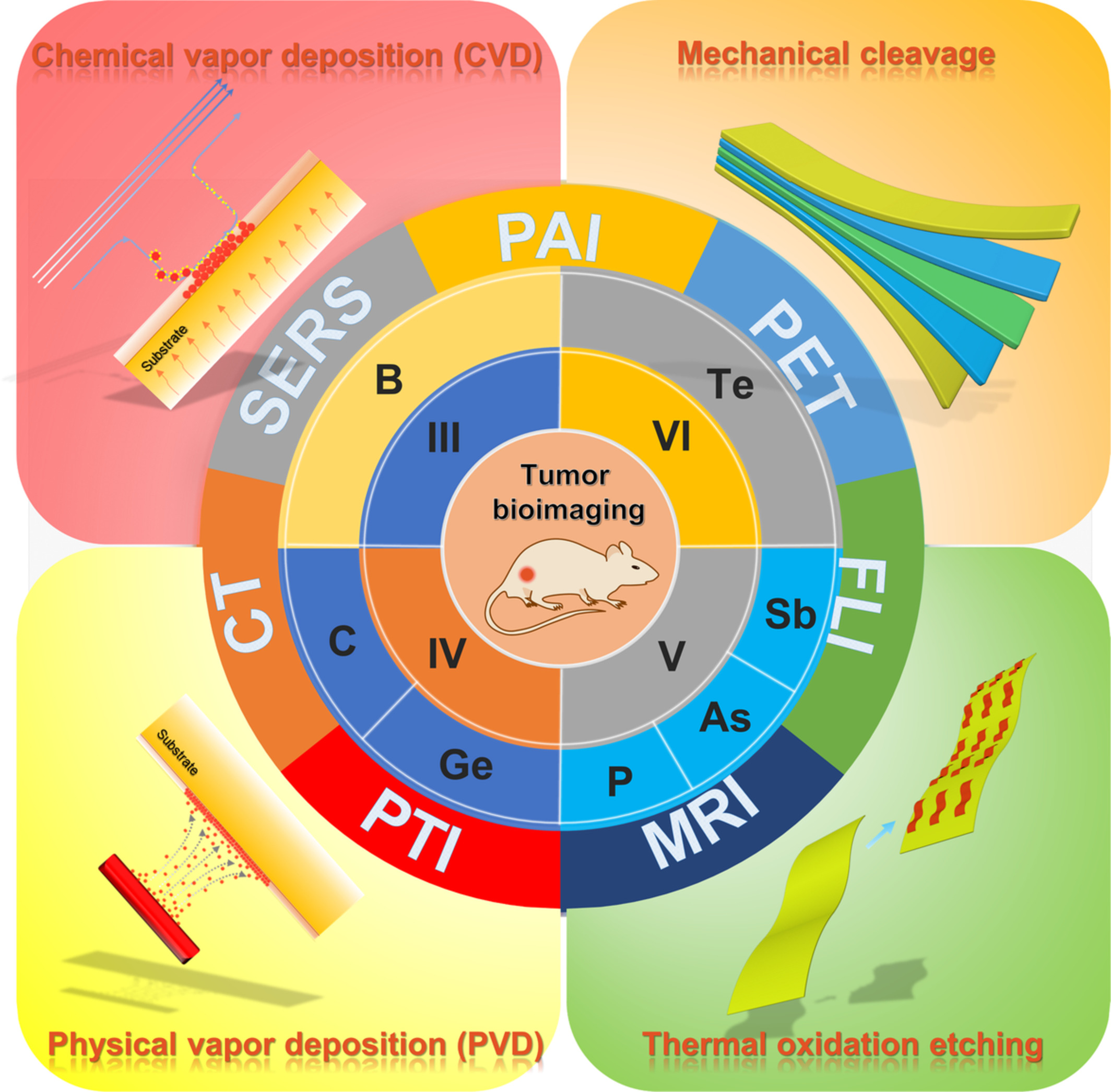 Emerging two‐dimensional monoelemental materials (Xenes): Fabrication, modification, and applications thereof in the field of bioimaging as nanocarriers