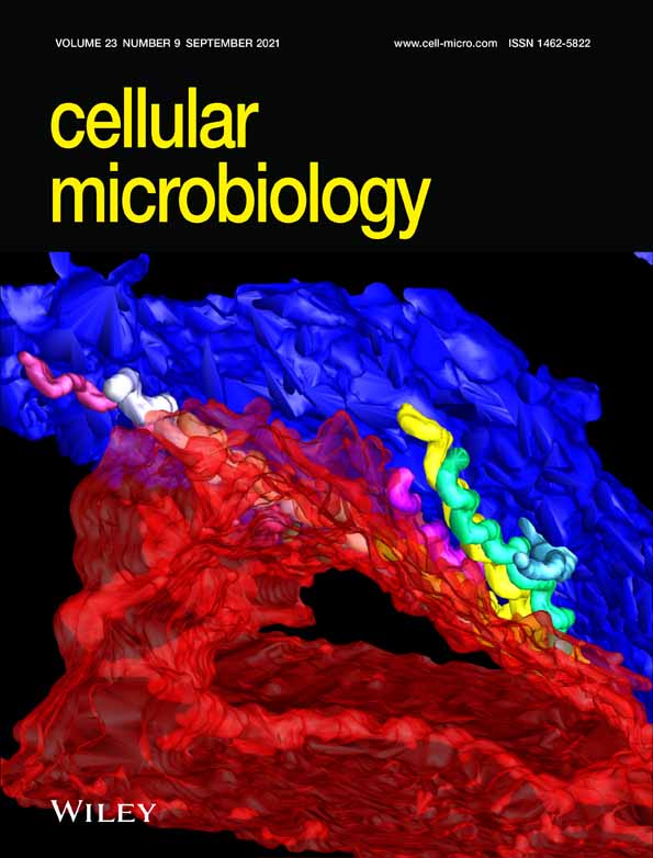 Zinc finger proteins of Plasmodium falciparum