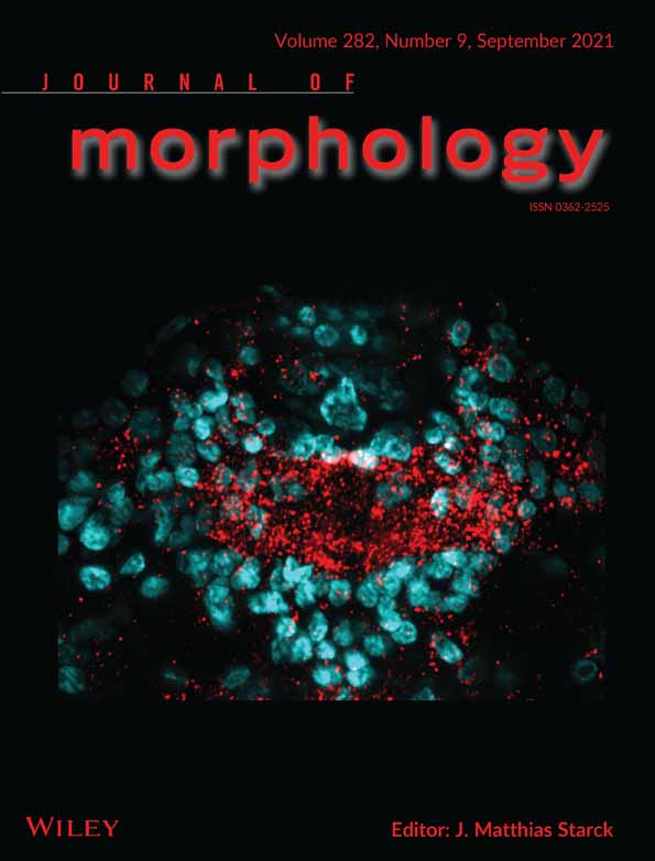 Impact on reproductive performance and body condition in a small limpet parasitized by a large castrator pea crab