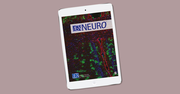 Emerging Role of Ferroptosis in the Pathogenesis of Ischemic Stroke: A New Therapeutic Target?