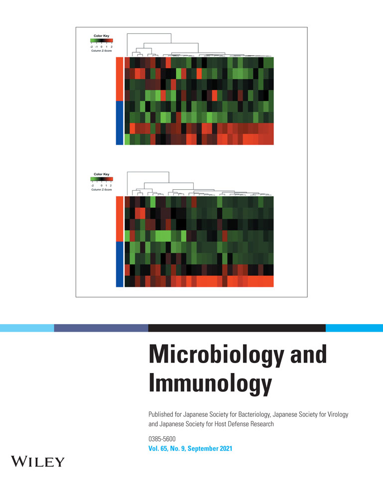 The role of C/EBP homologous protein (CHOP) in regulating macrophage polarization in RAW264.7 cells