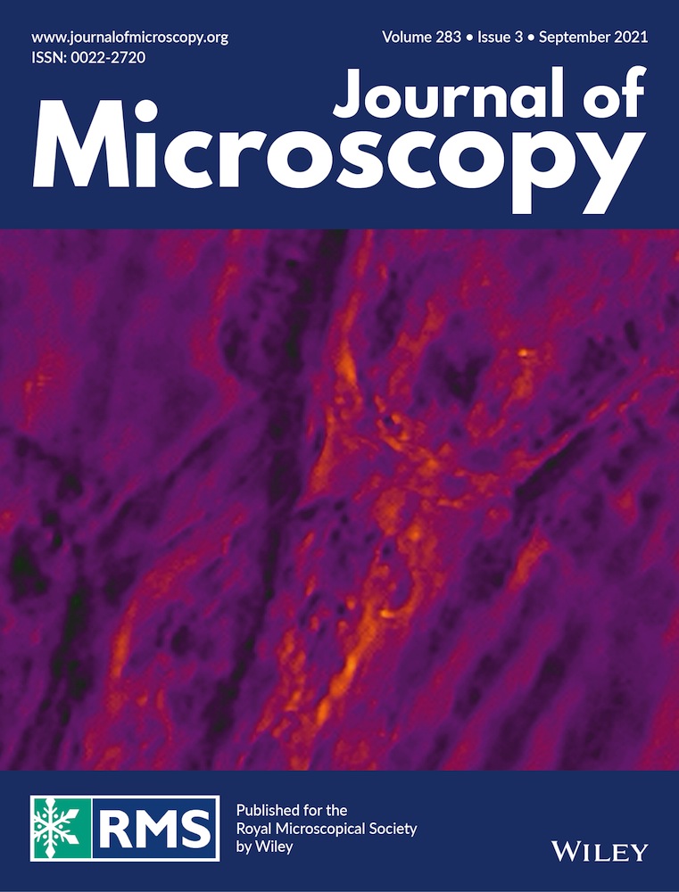 SEM‐EDS analysis of ancient bronze artifacts of urartian period from Yegheghnadzor region, Armenia