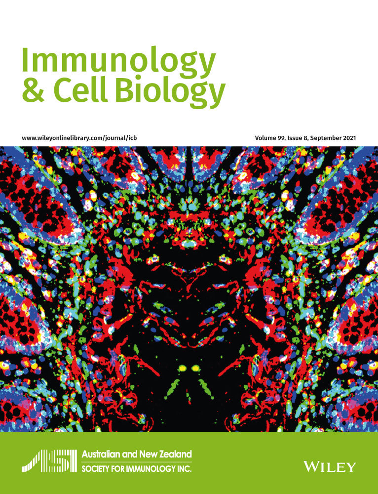 Tetraspanin CD53 modulates lymphocyte trafficking but not systemic autoimmunity in Lyn‐deficient mice