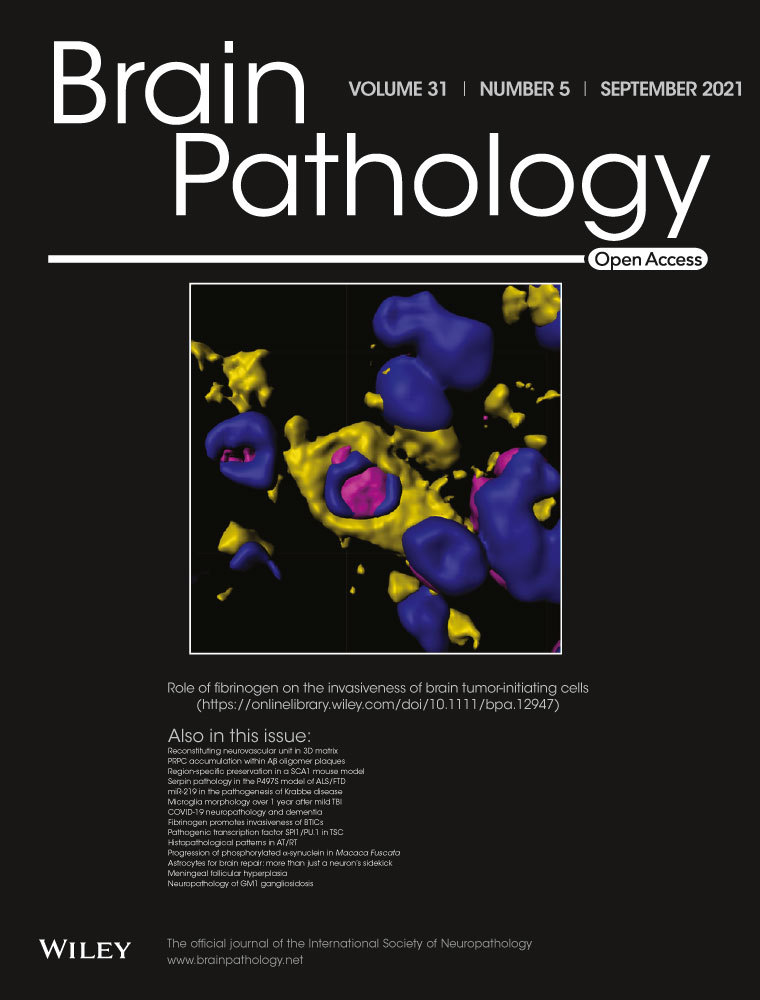 Association of CD2AP neuronal deposits with Braak neurofibrillary stage in Alzheimer’s disease