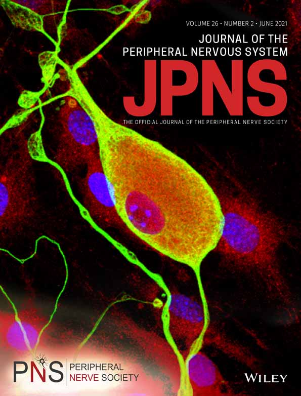 Nerve biopsy in acquired neuropathies