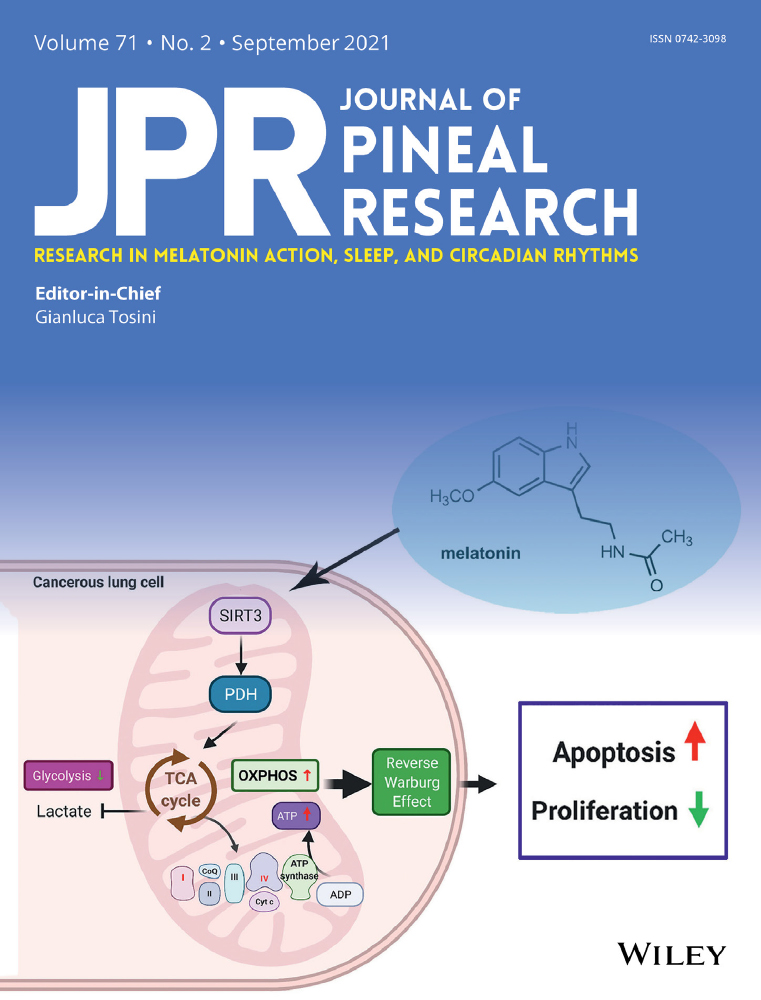 Melatonin modulates metabolic remodeling in HNSCC by suppressing MTHFD1L‐formate axis